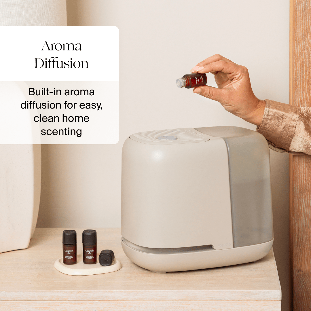 Canopy : Bedside Humidifier 2.0