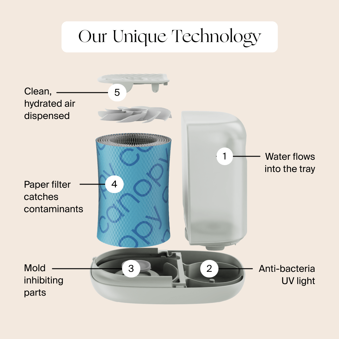 Canopy : Bedside Humidifier 2.0