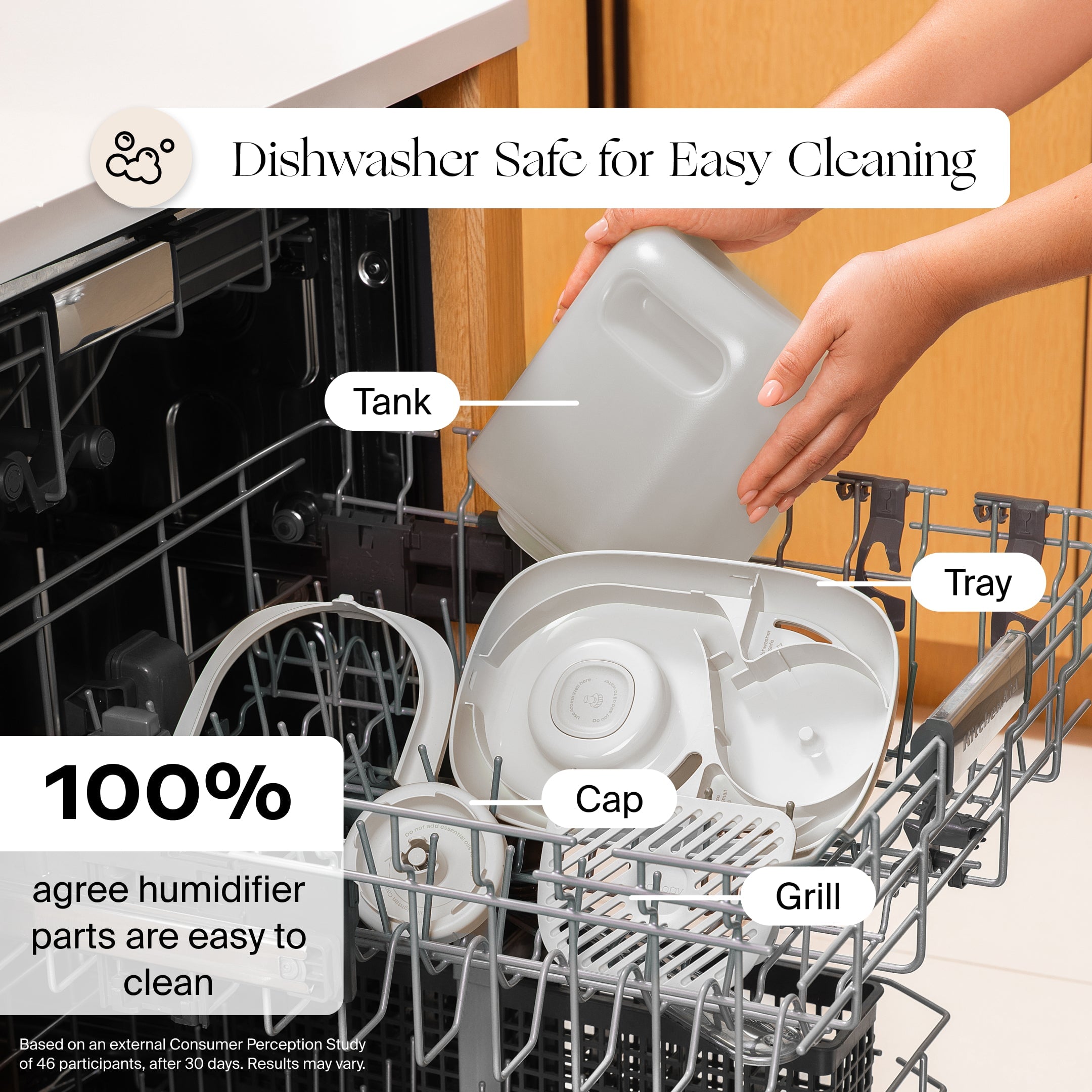 Canopy : Large Room Humidifier