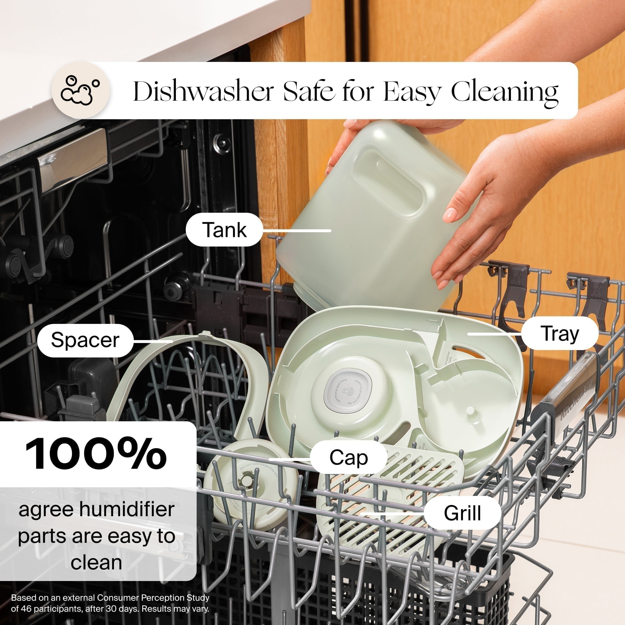 Canopy : Bedside Humidifier 2.0