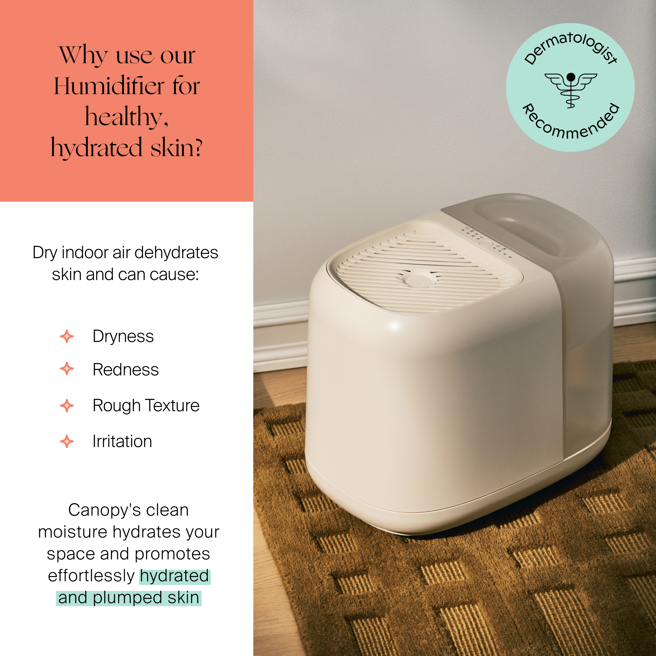 Canopy : Large Room Humidifier