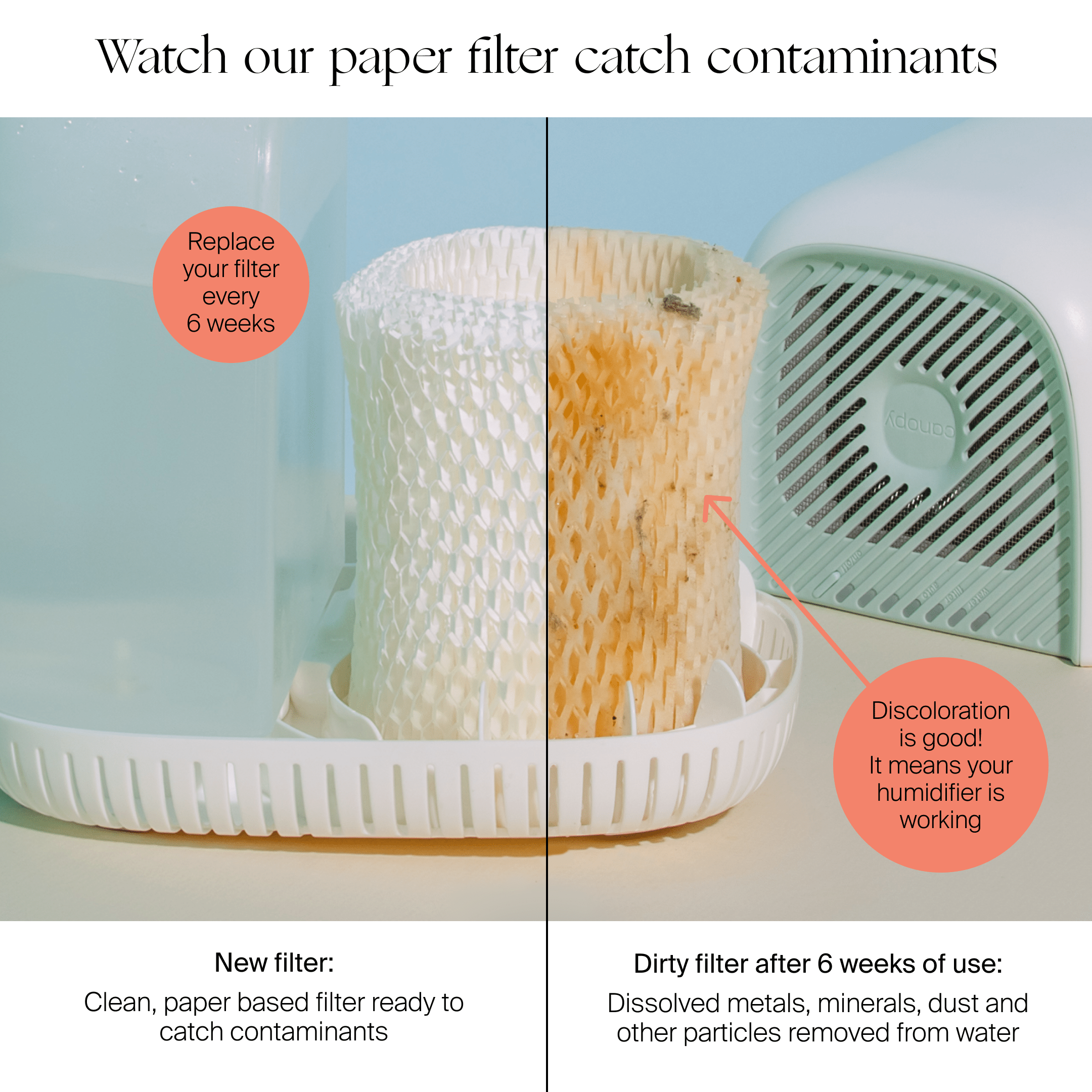 Canopy : Large Room Humidifier
