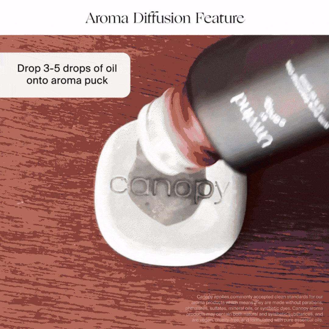 Canopy : Portable Humidifier