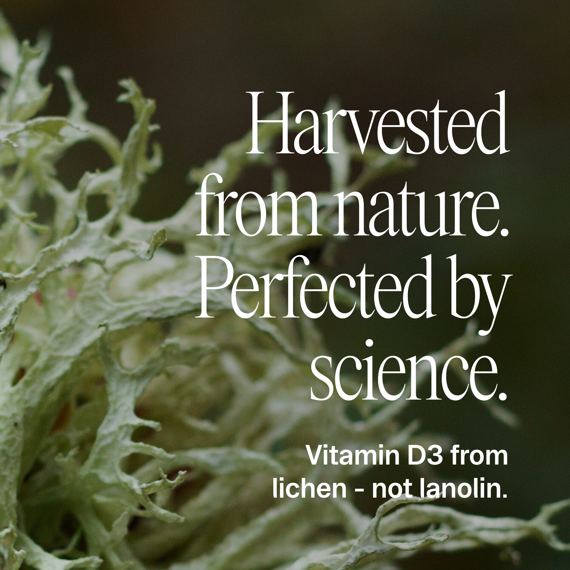 Sol Food : High Potency Vitamin D3 & K2 - Heartstrong Sleep