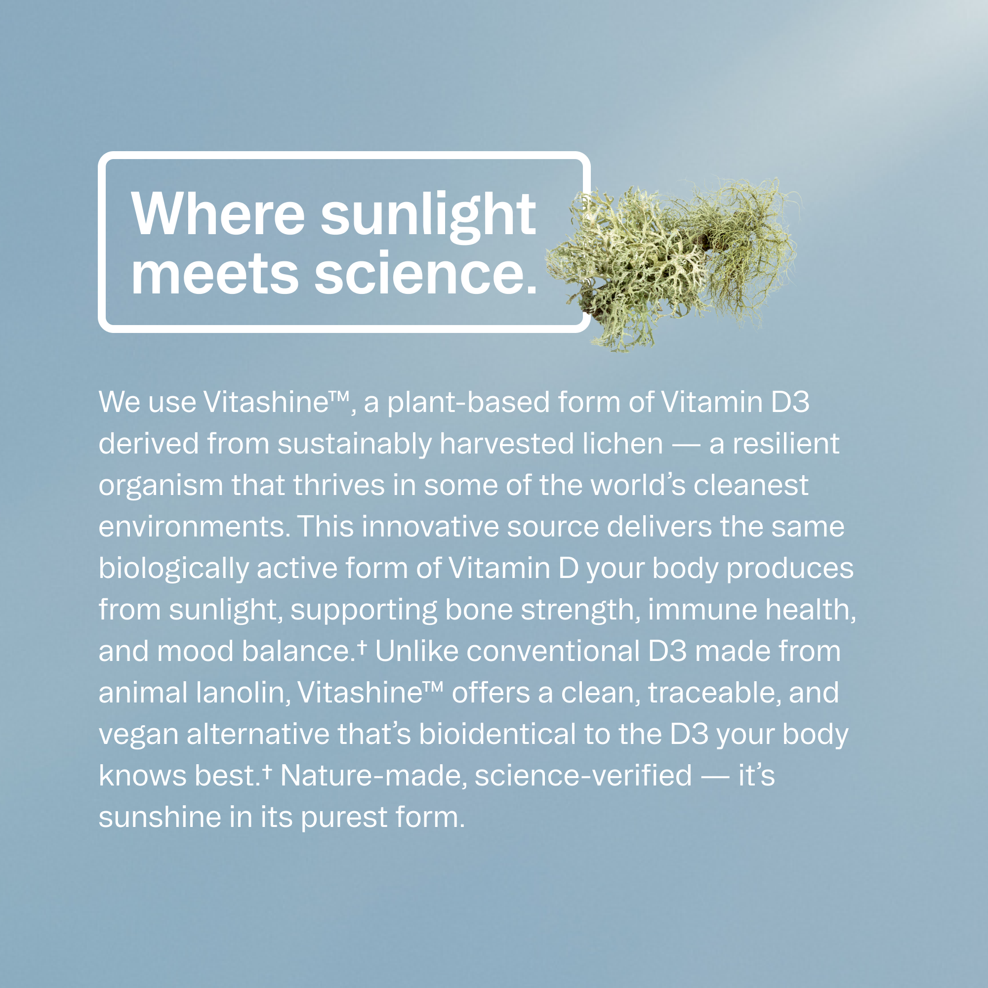Sol Food : High Potency Vitamin D3 & K2 - Heartstrong Sleep