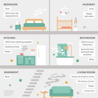 Canopy Bedside Air Purifier graphic showing sources of indoor pollutants