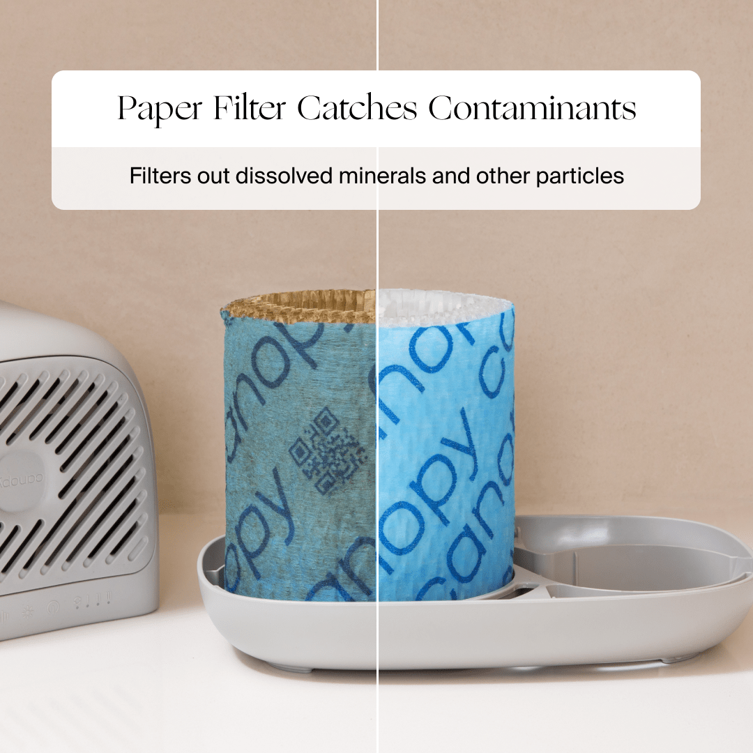 Canopy Bedside Humidifier 2.0 - Paper Filter Comparison from Heartstrong Sleep