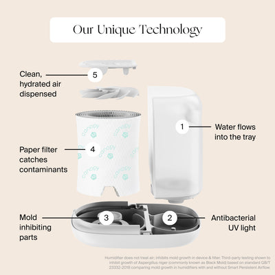 Canopy Bedside Humidifier 2.0 exploded view of its parts