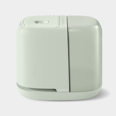 Canopy Bedside Humidifier 2.0 in soft jade green finish