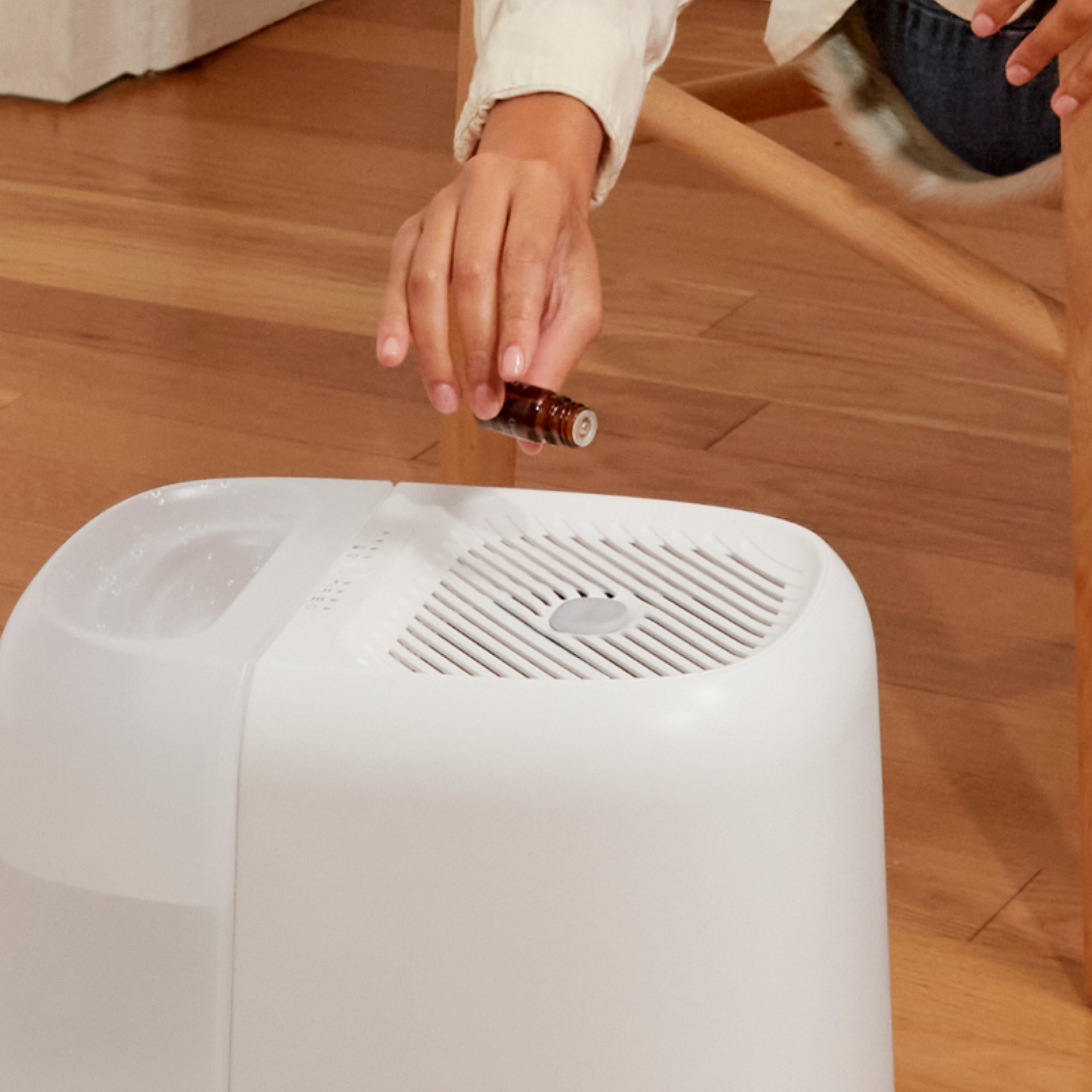 Canopy Humidifier - Essential Oils