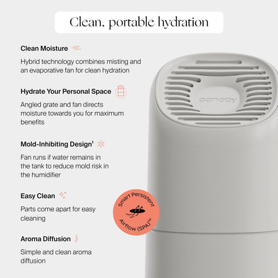 Canopy portable mist-free travel humidifier placed on modern nightstand