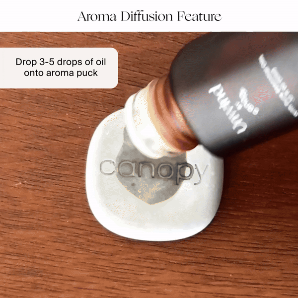 Canopy : Portable Humidifier