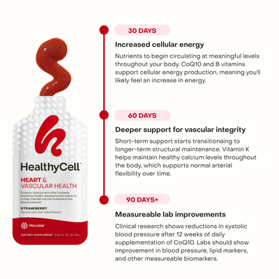 Timeline graphic illustrating daily cardiovascular benefits of HealthyCell Heart & Vascular