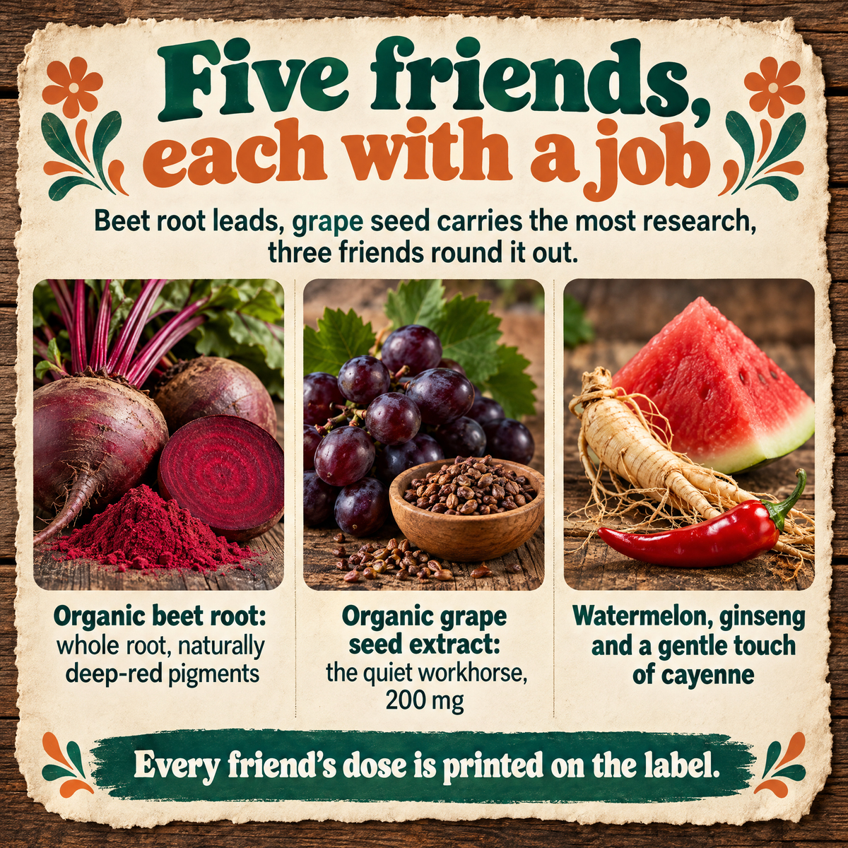 Infographic detailing functional health roles of active ingredients in Beet Root & Friends