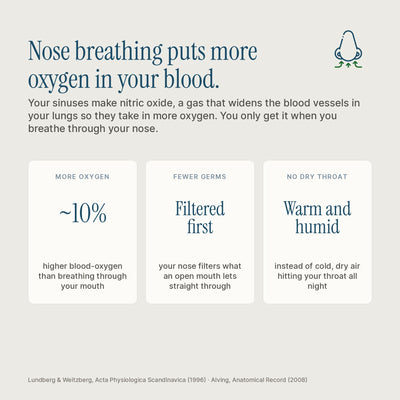 An informational infographic on the benefits of nasal breathing, with teal text on a light gray background. The headline reads, 'Nose breathing puts more oxygen in your blood.